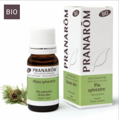 Pin sylvestre 10ml